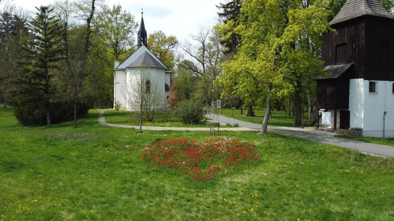 Homestay Poděbrady Exteriér fotografie