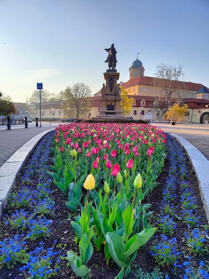 Homestay Poděbrady Exteriér fotografie