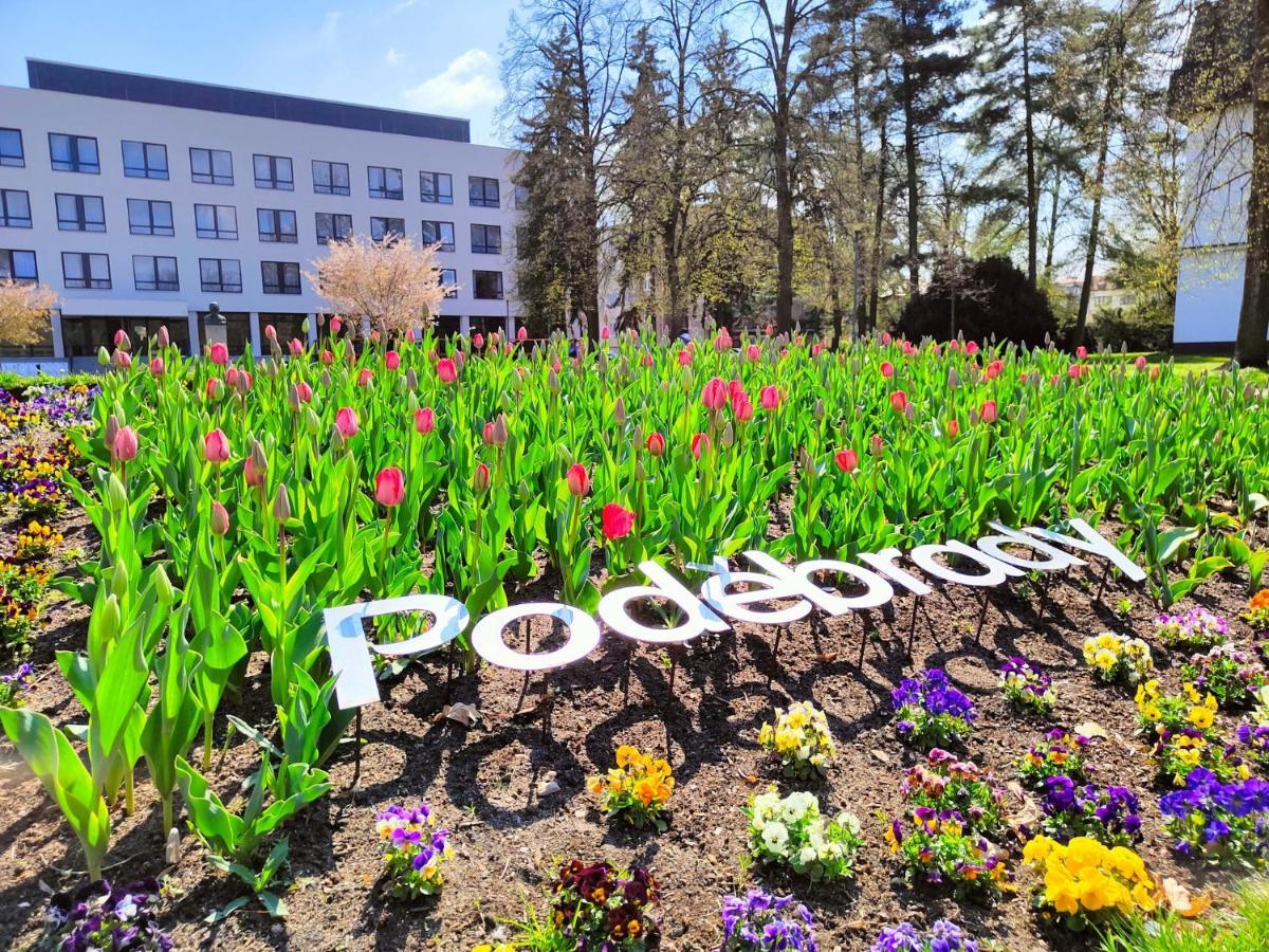 Homestay Poděbrady Exteriér fotografie