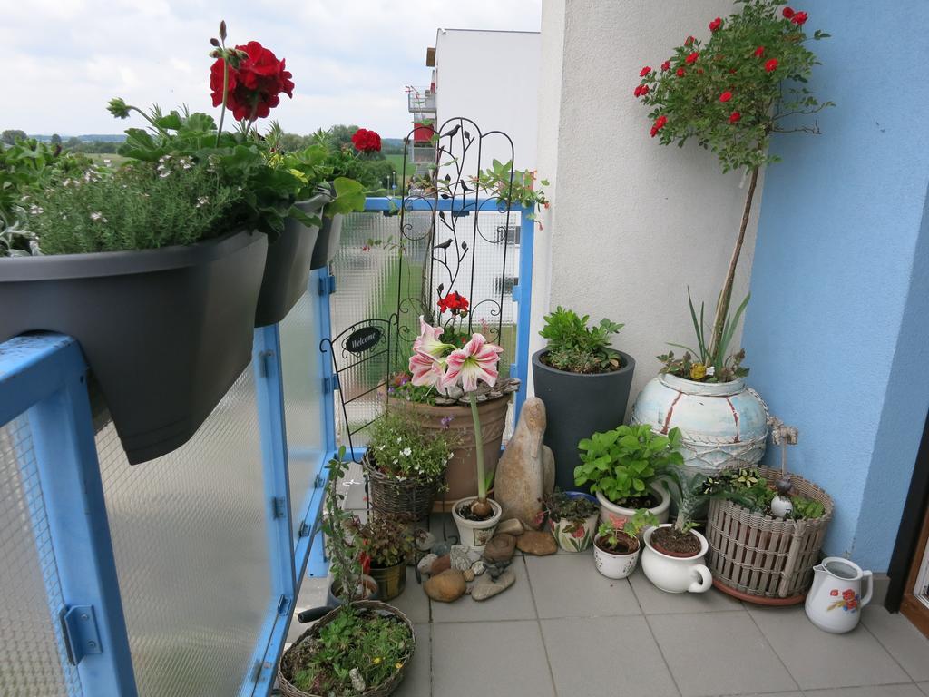 Homestay Poděbrady Exteriér fotografie