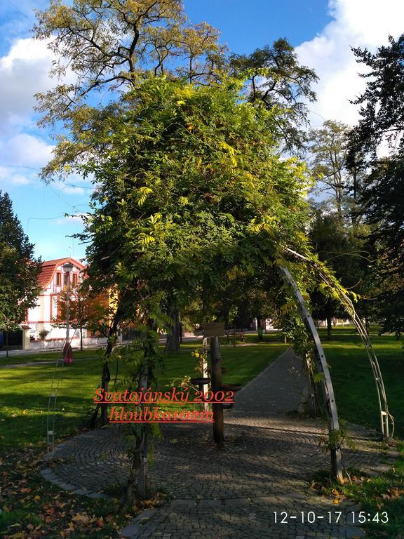 Homestay Poděbrady Exteriér fotografie